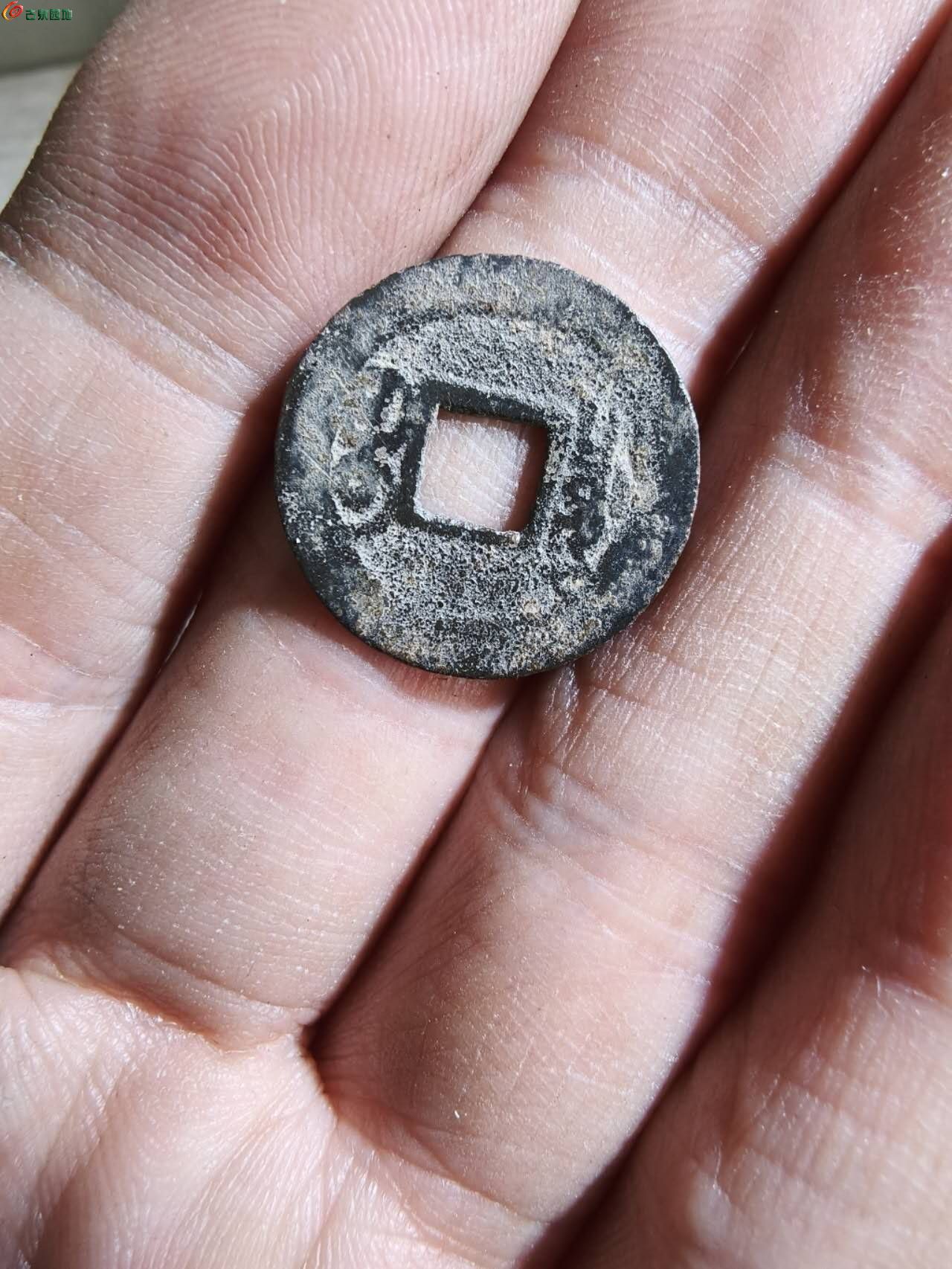 99526.jpg