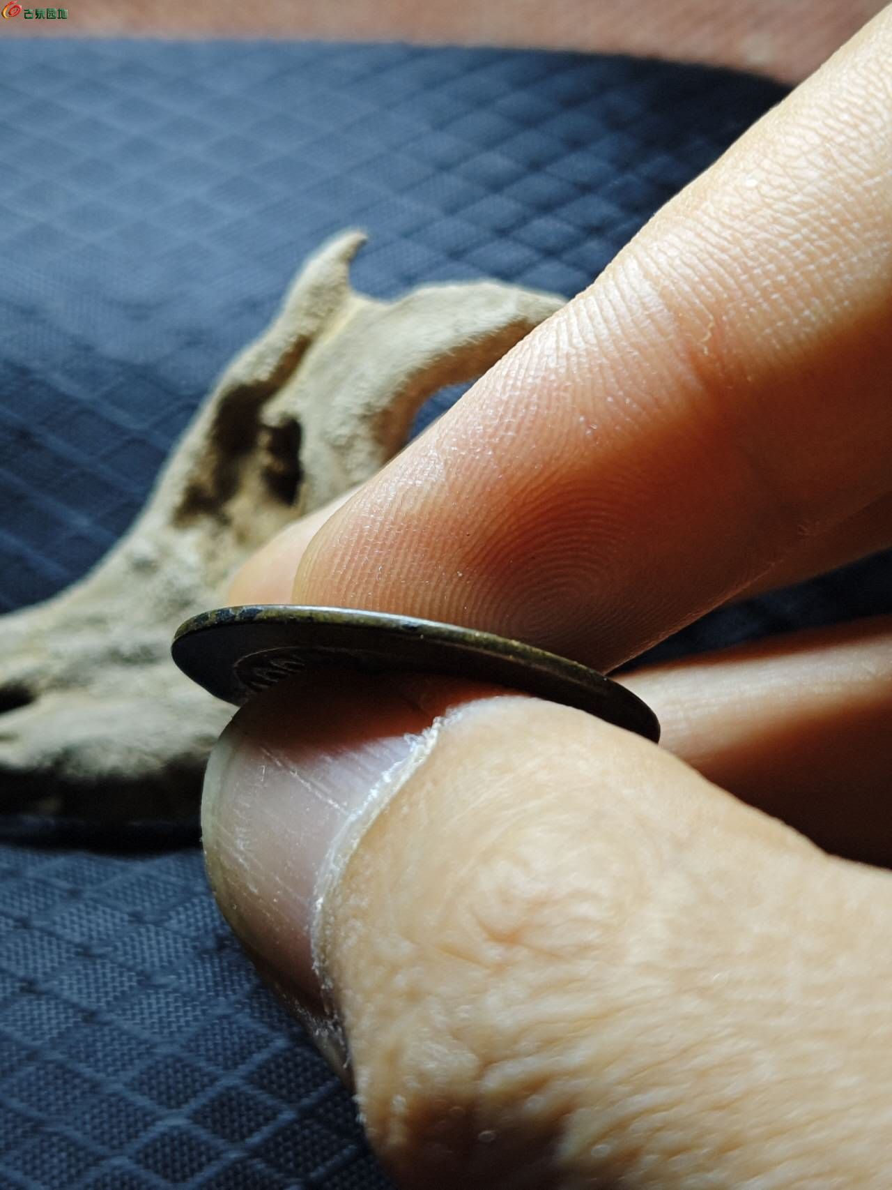 12724.jpg