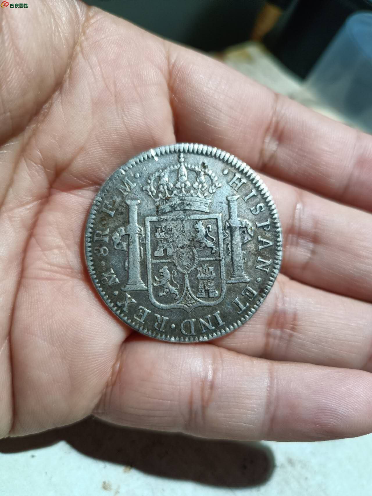 17965.jpg