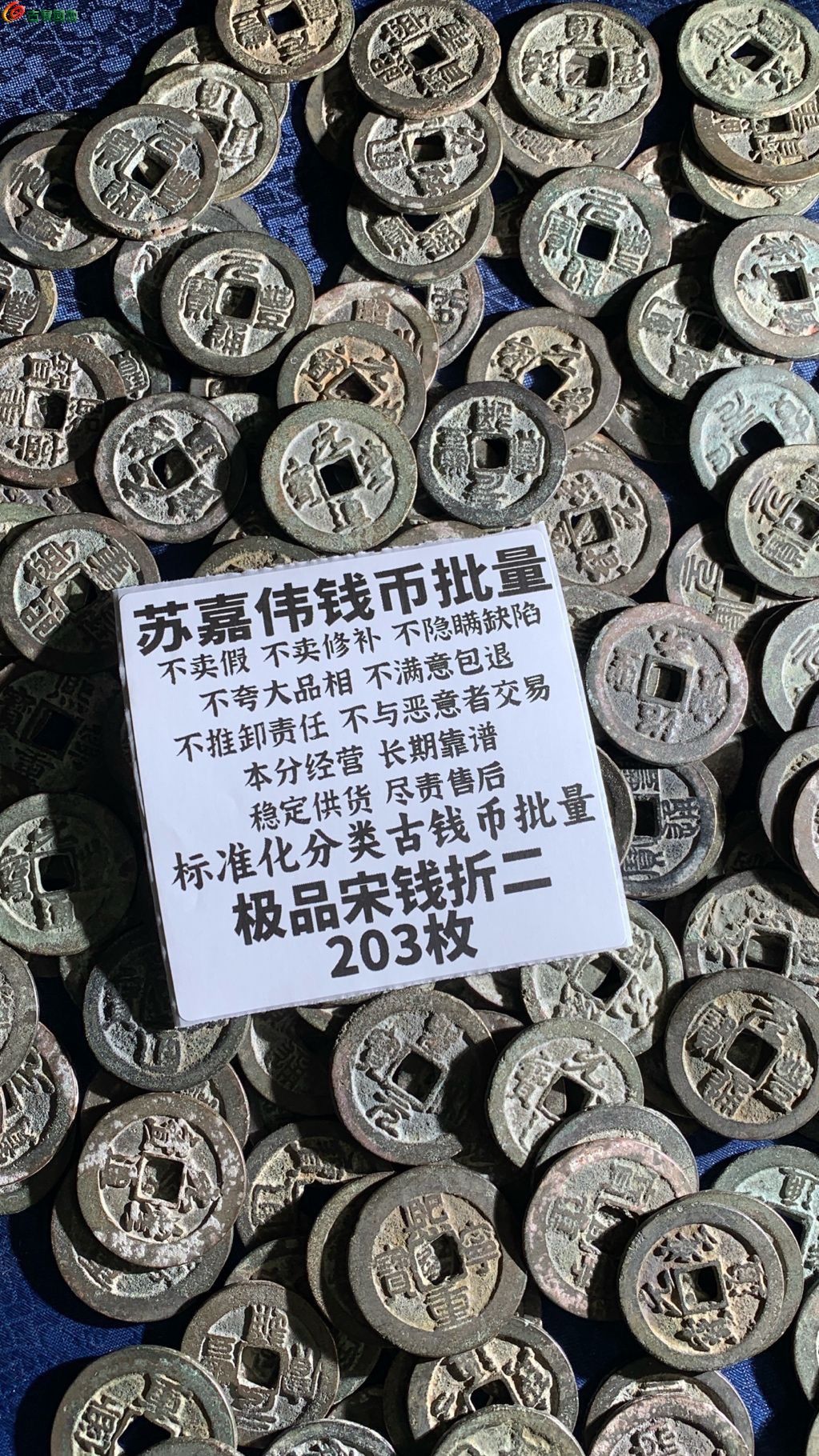 1775109976591.xfile.jpg