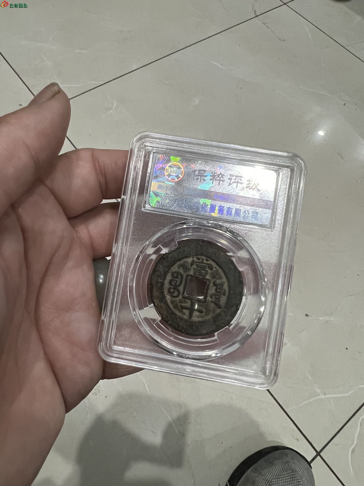 68512.jpg