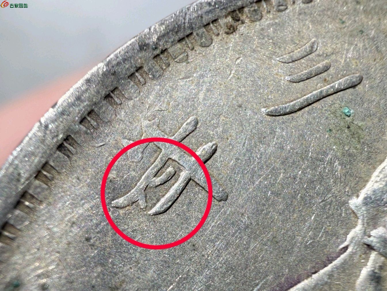 1775357523257.xfile.jpg