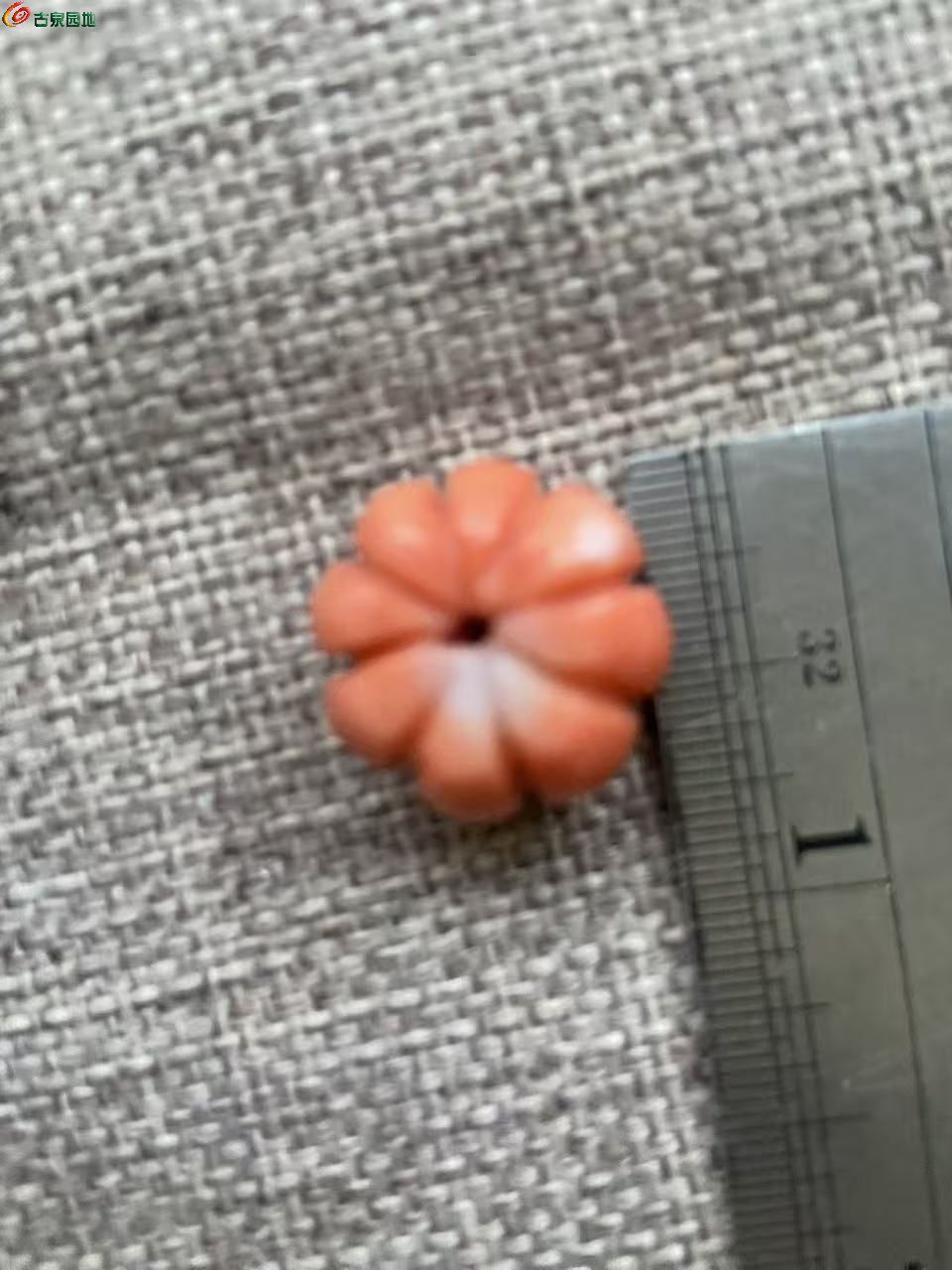 微信图片_20260407062532_1024_40.jpg
