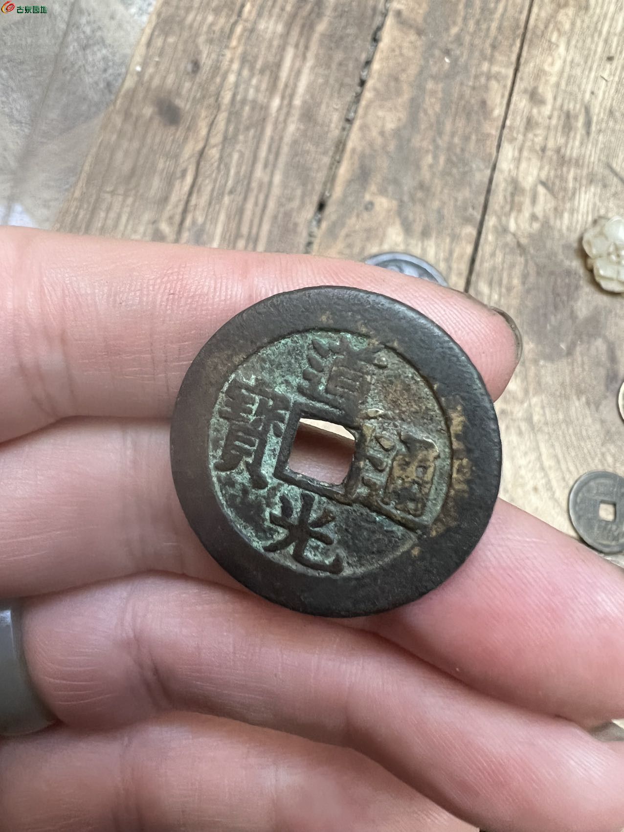 33790.jpg