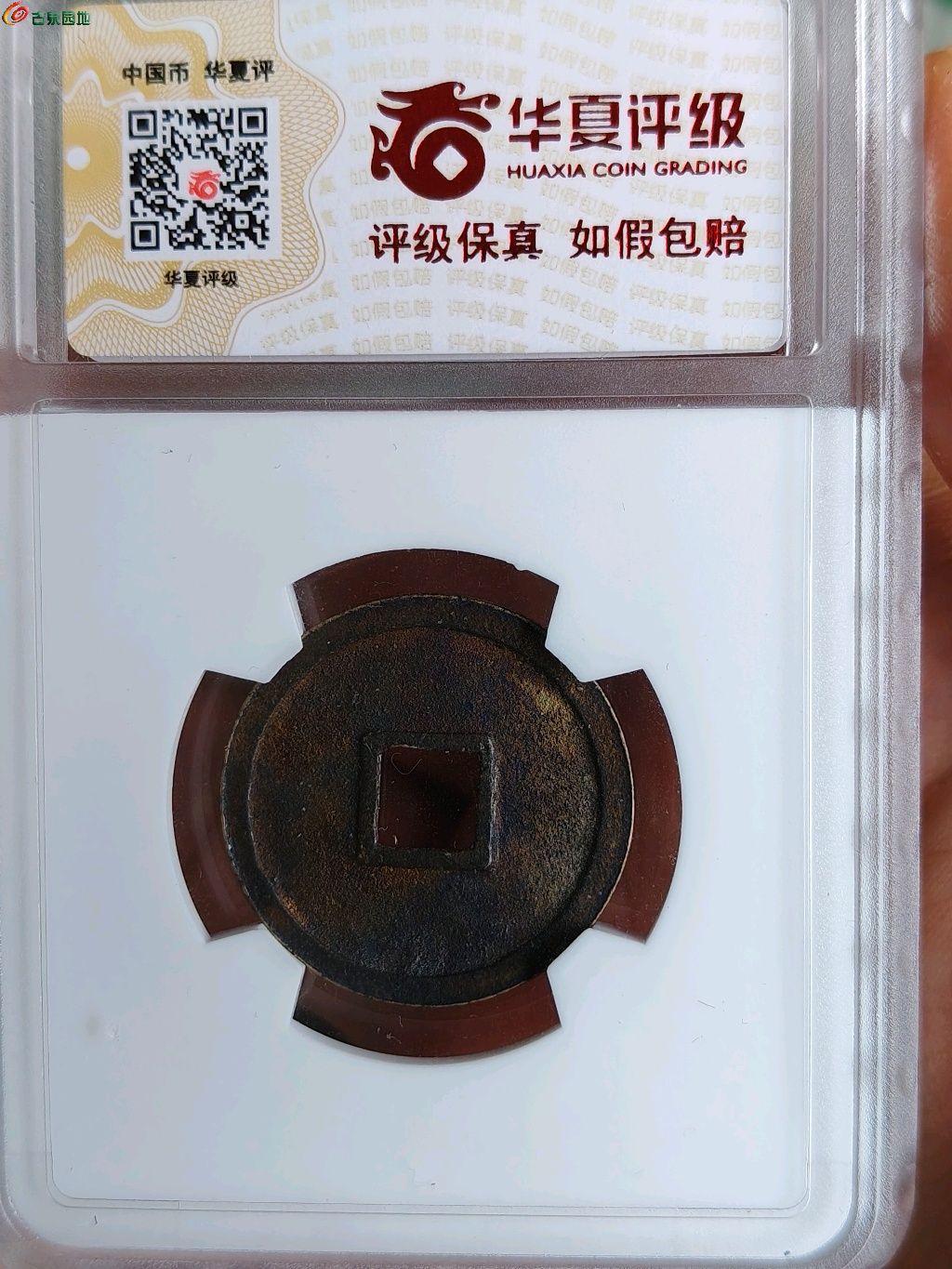 1775630714533.xfile.jpg