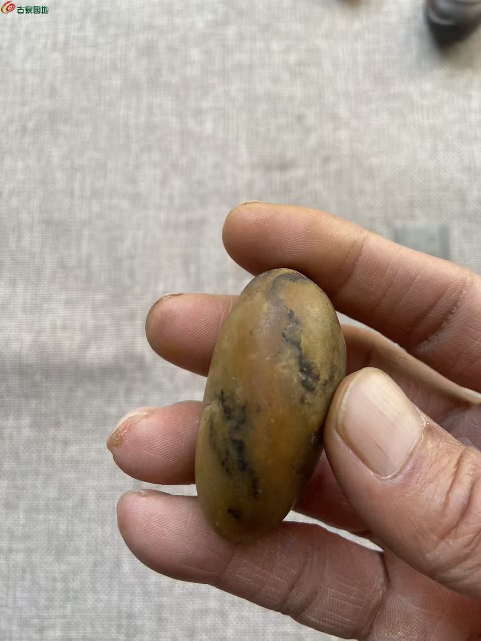 微信图片_20260411104300_419_3.jpg