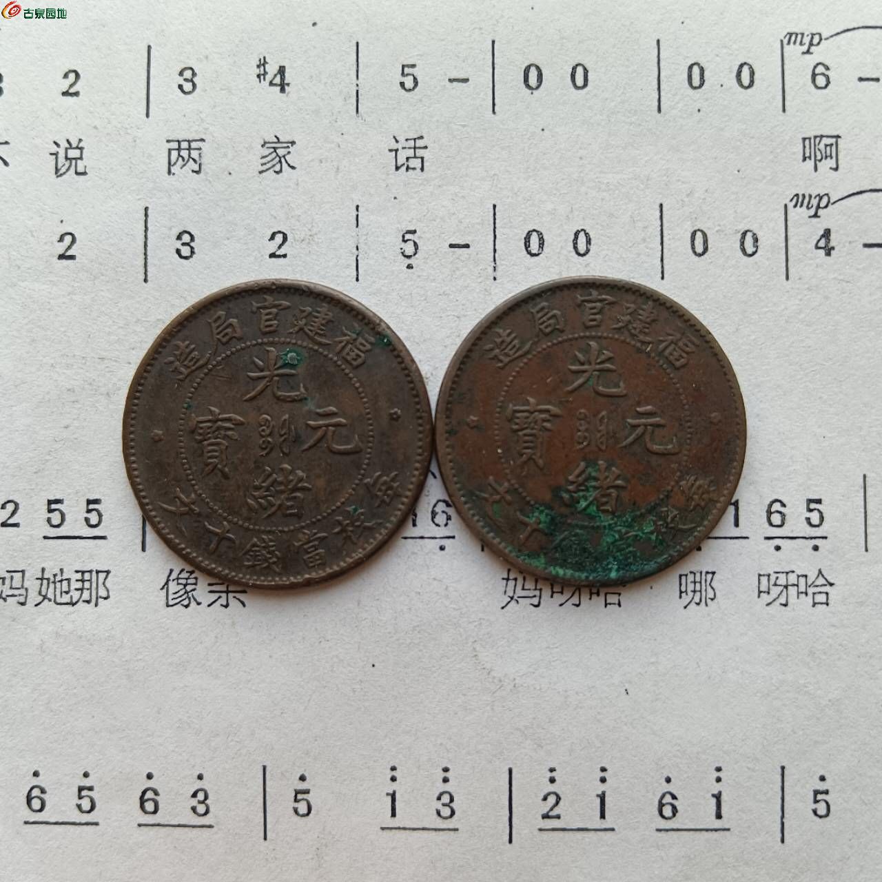 69807.jpg