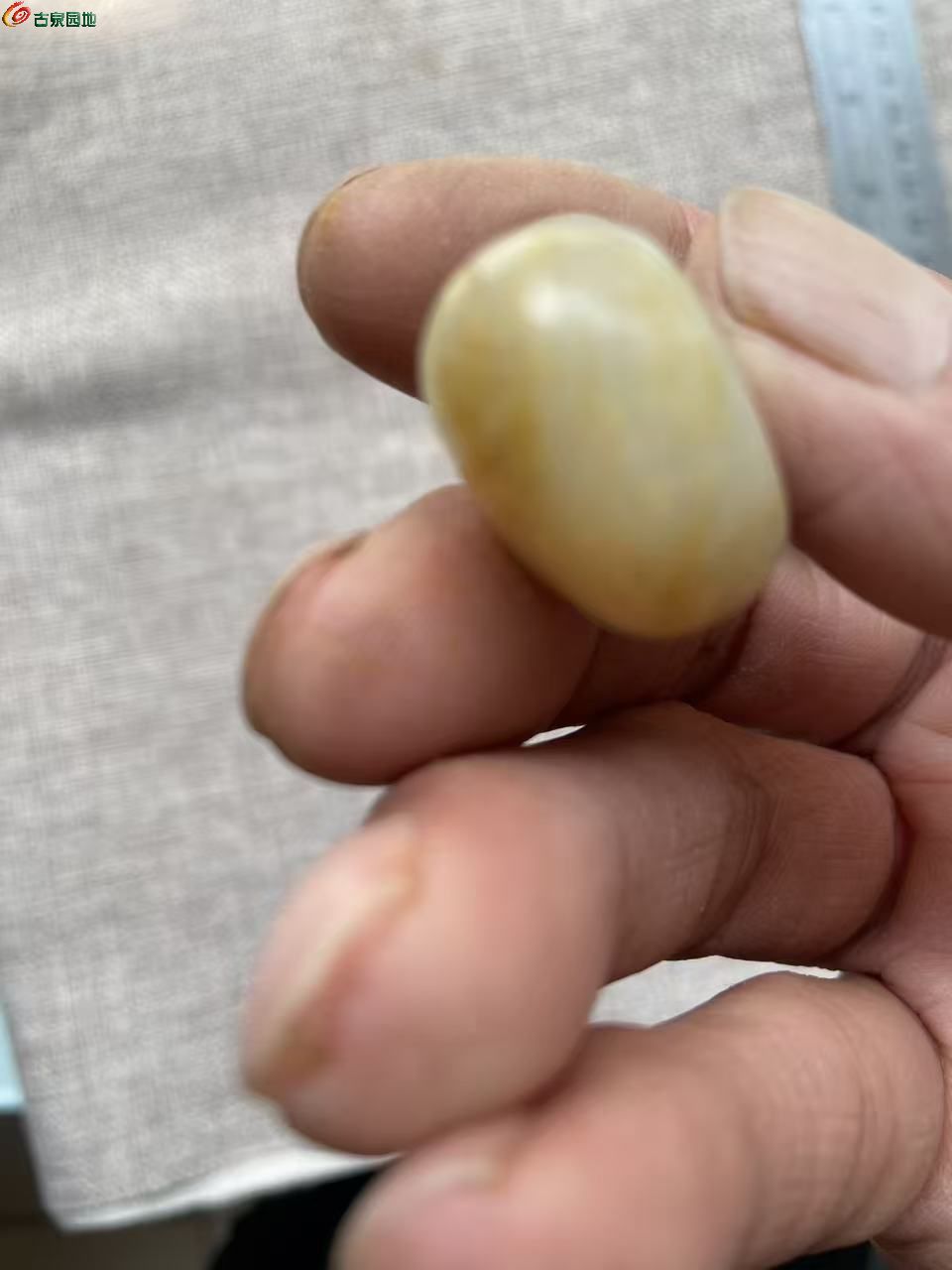 微信图片_20260414111715_719_3.jpg