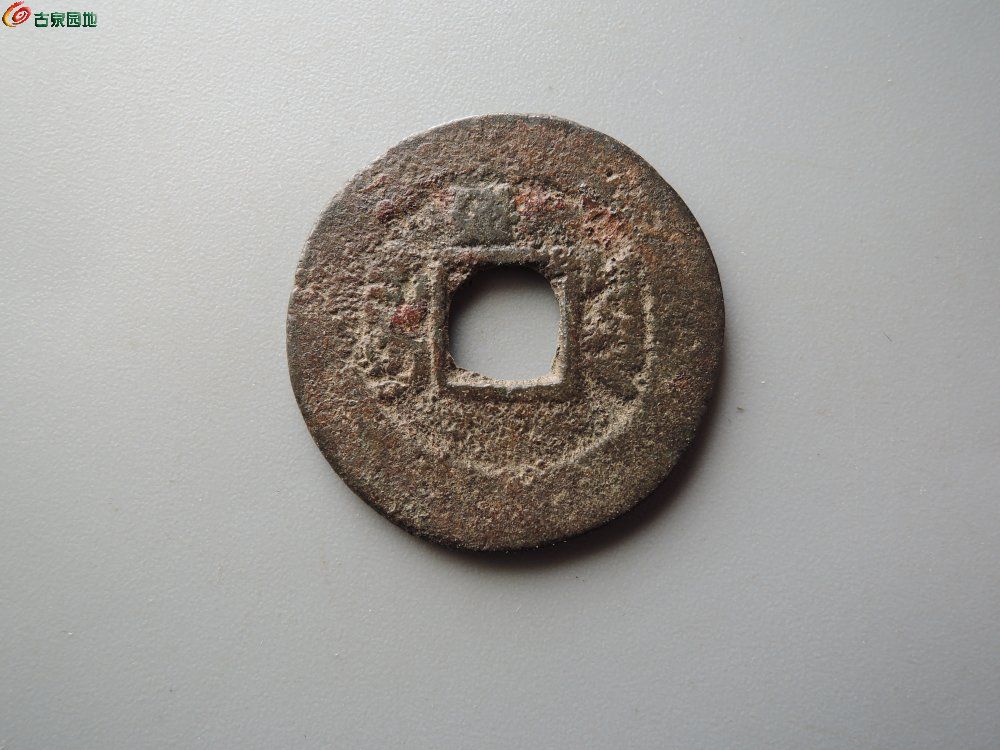 DSCN8526.JPG