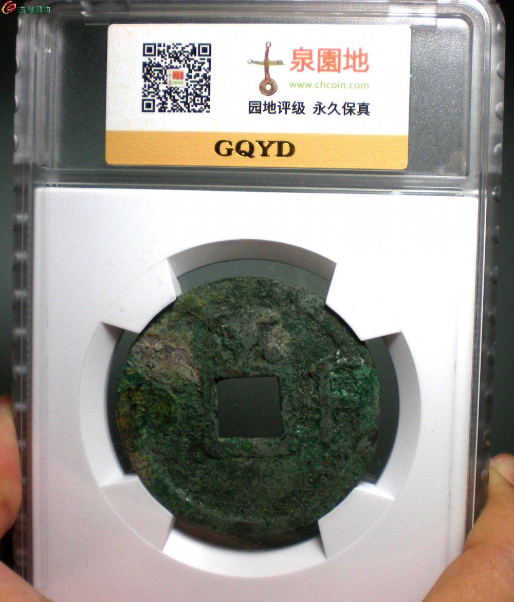 DSCN5955v.jpg