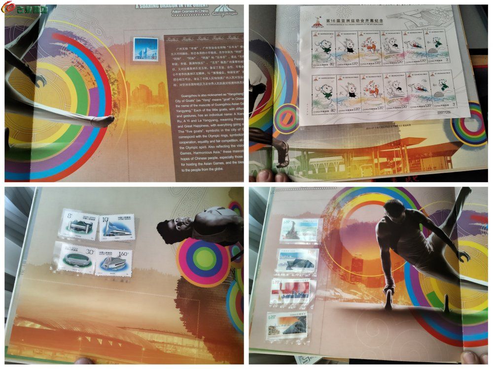 Collage_20260429_174622.jpg