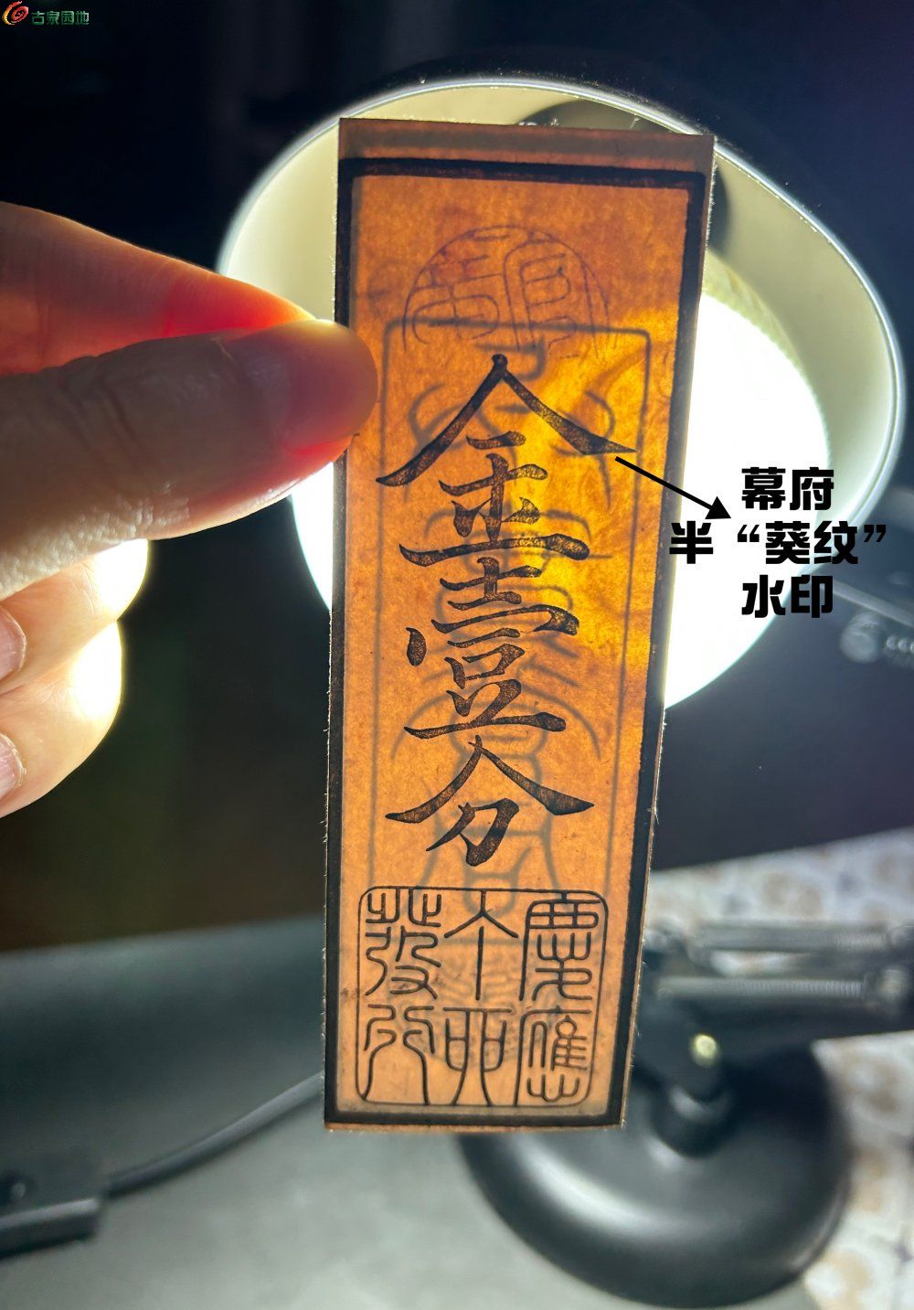 E71ED9DD-136B-4638-8C6E-CBA2AB854C67.jpe