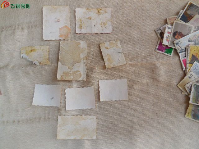 DSCN2276.JPG