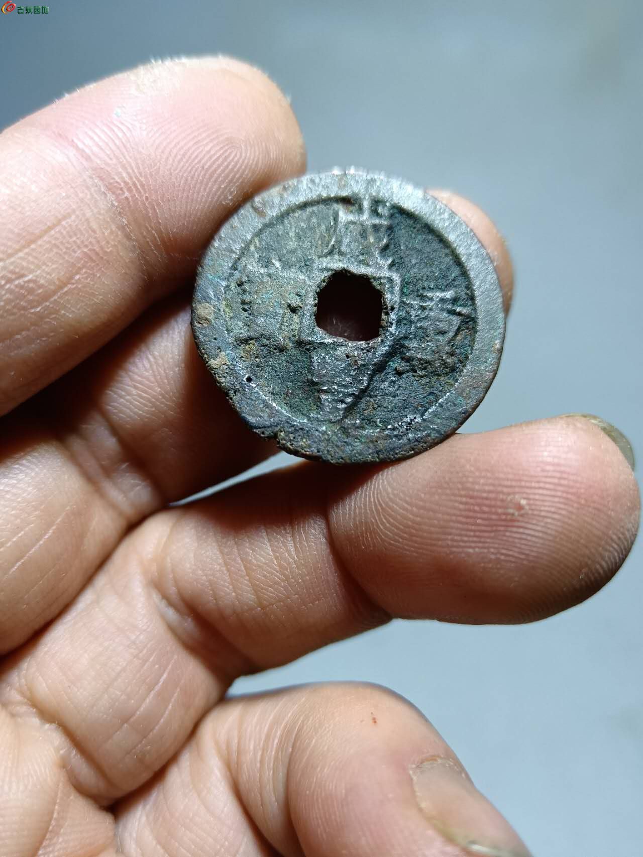 15255.jpg