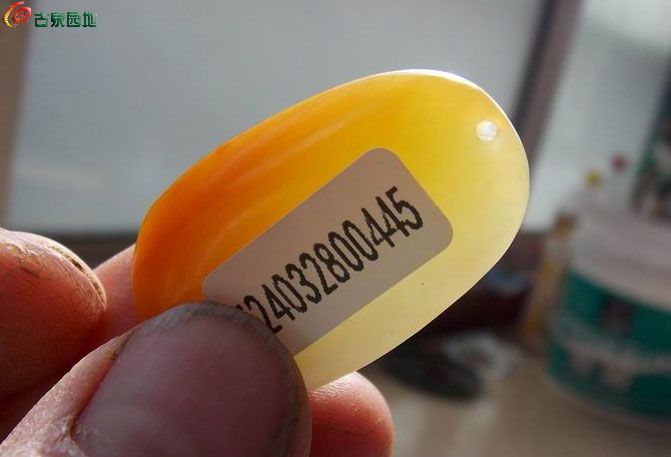 49006939g.jpg