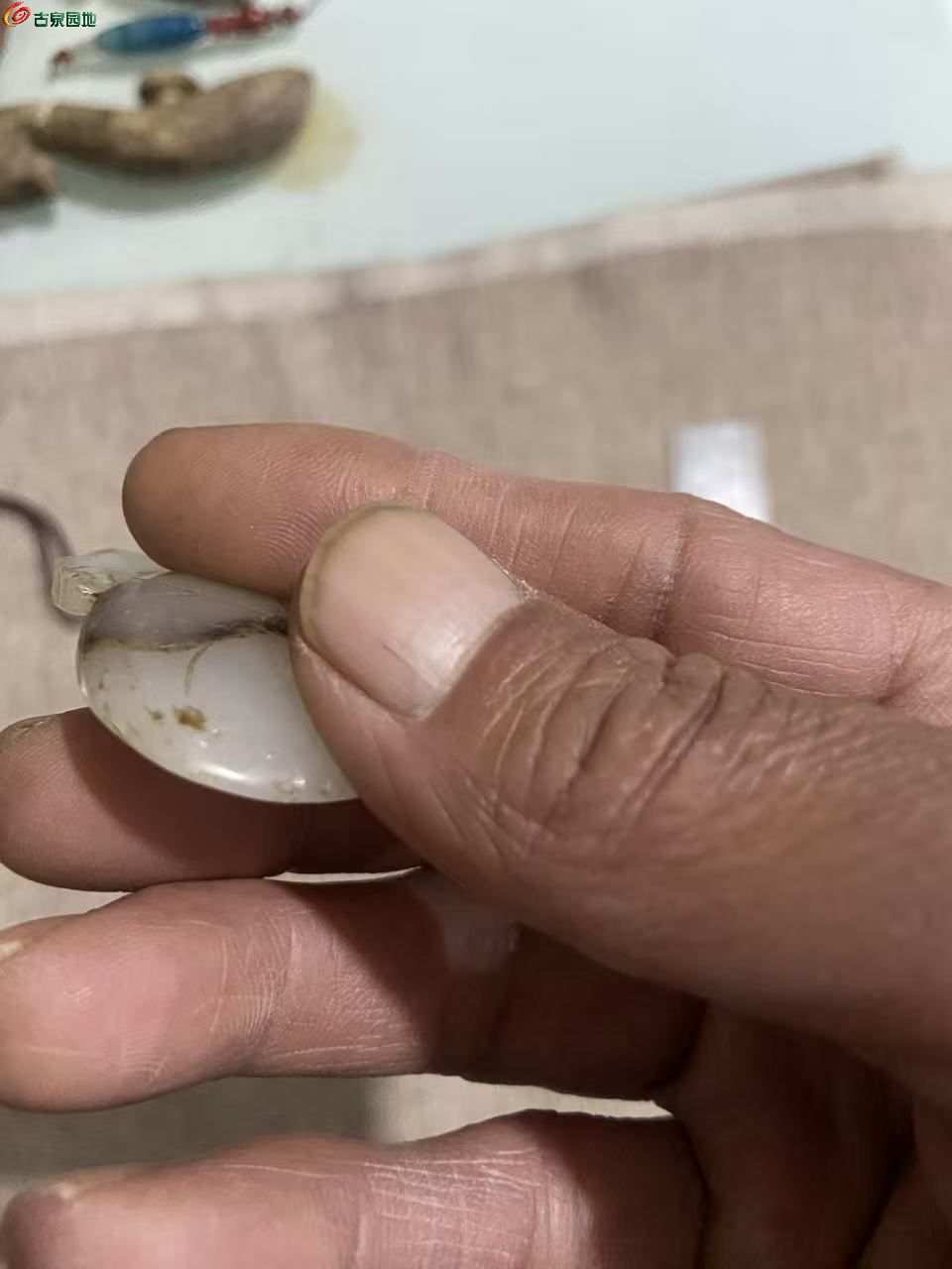 微信图片_20260412052741_643_3.jpg