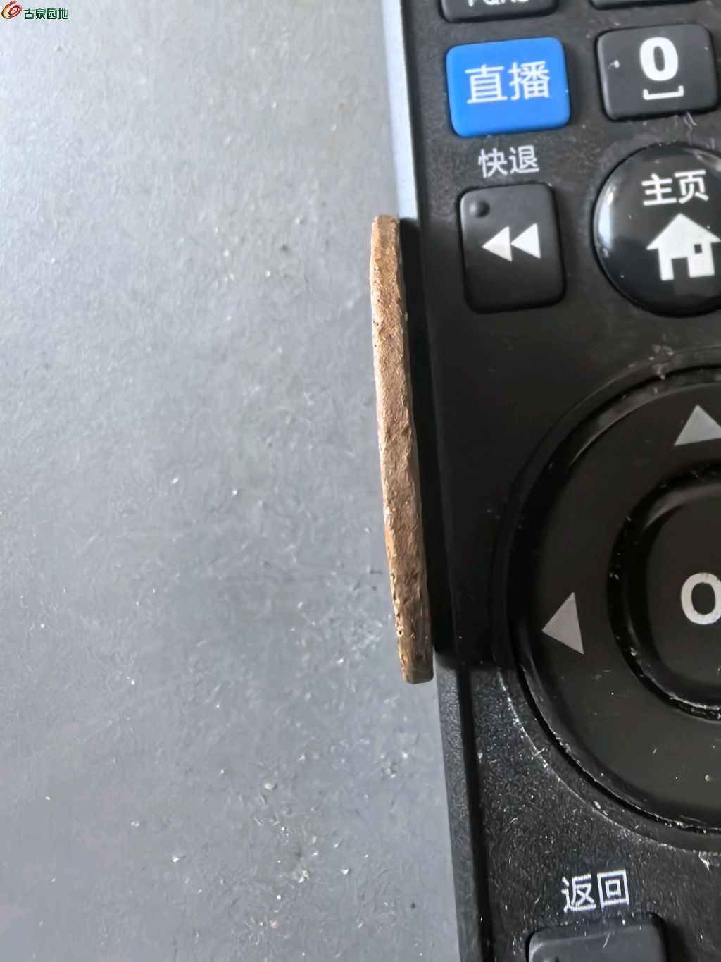 1776404519650.xfile.jpg