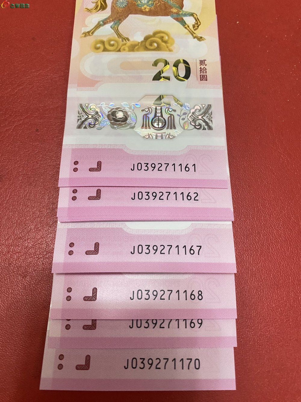 52265.jpg