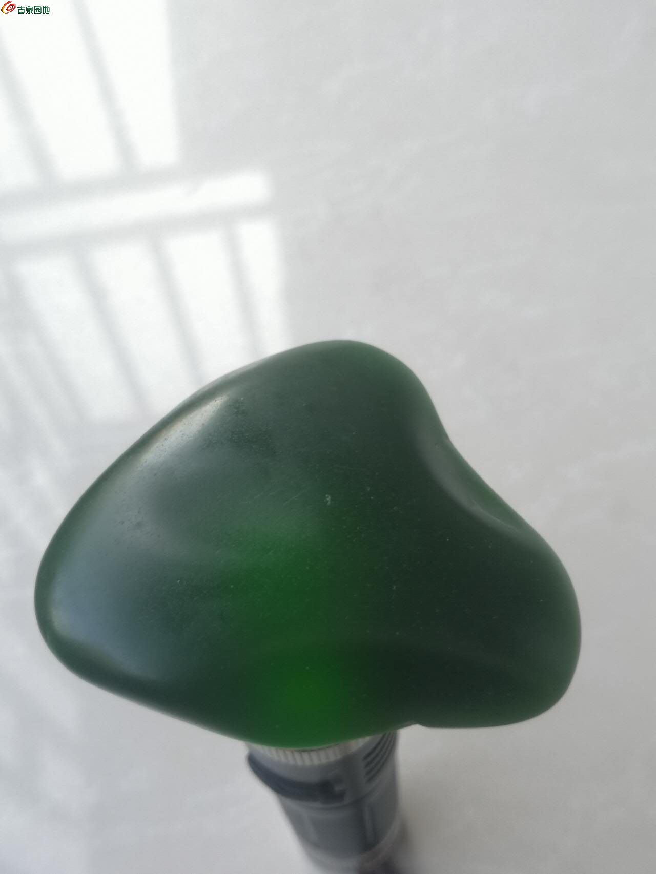 40222.jpg
