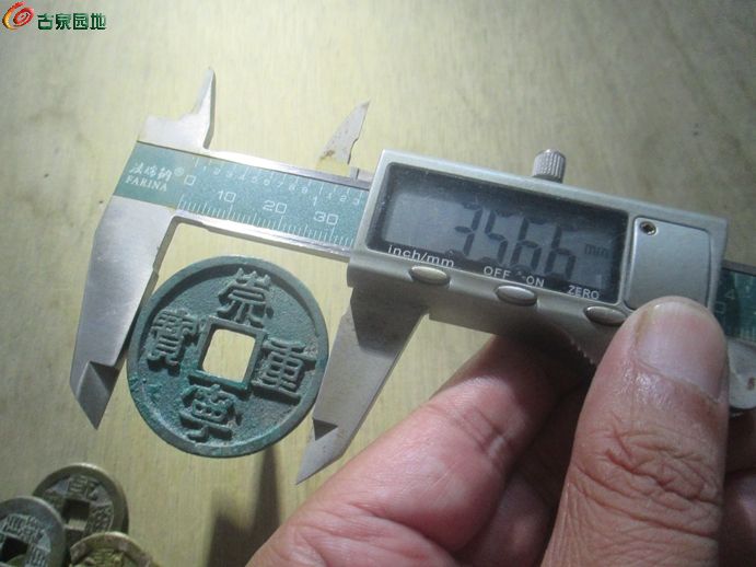 崇重广郭绿5.jpg