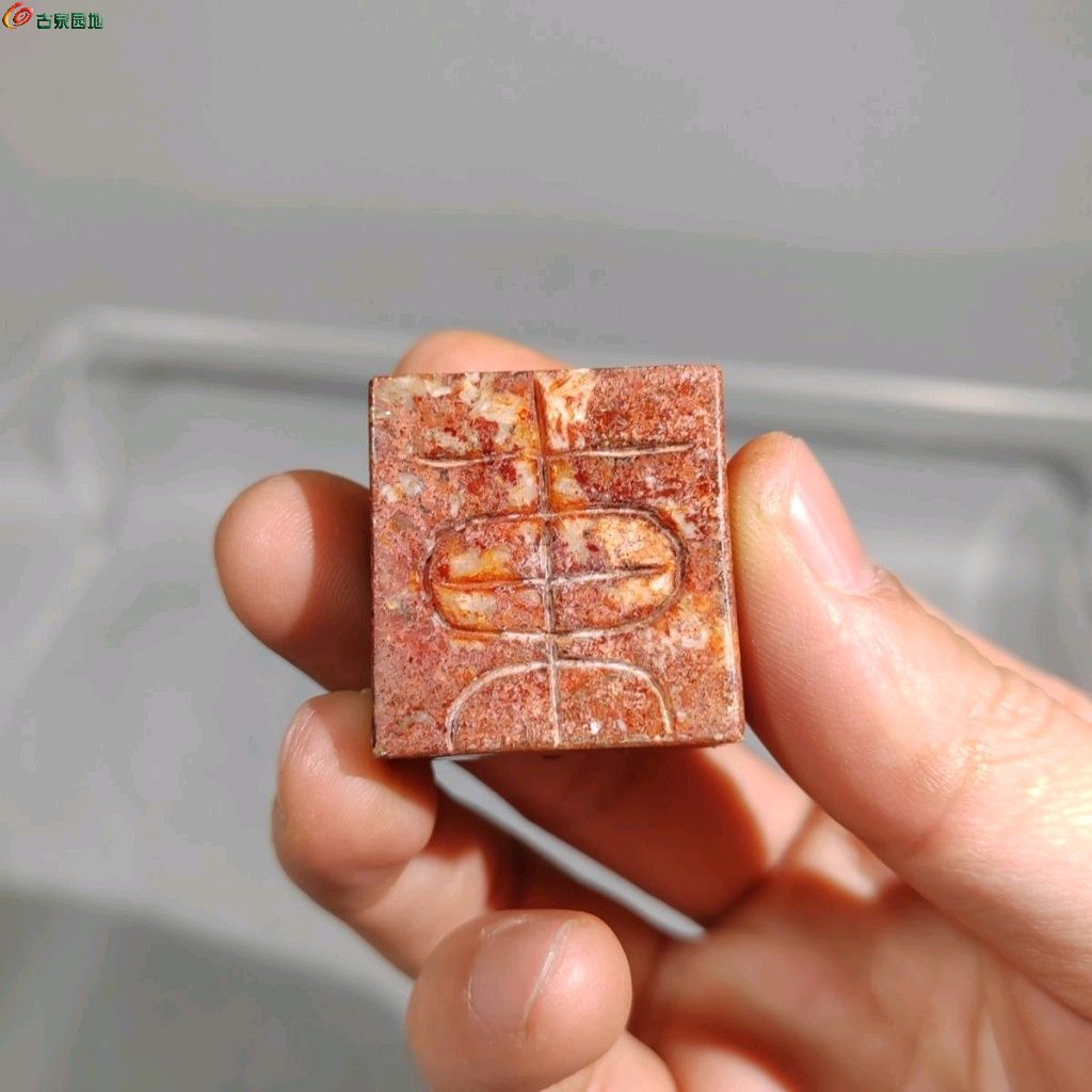 1778071118389.xfile.jpg