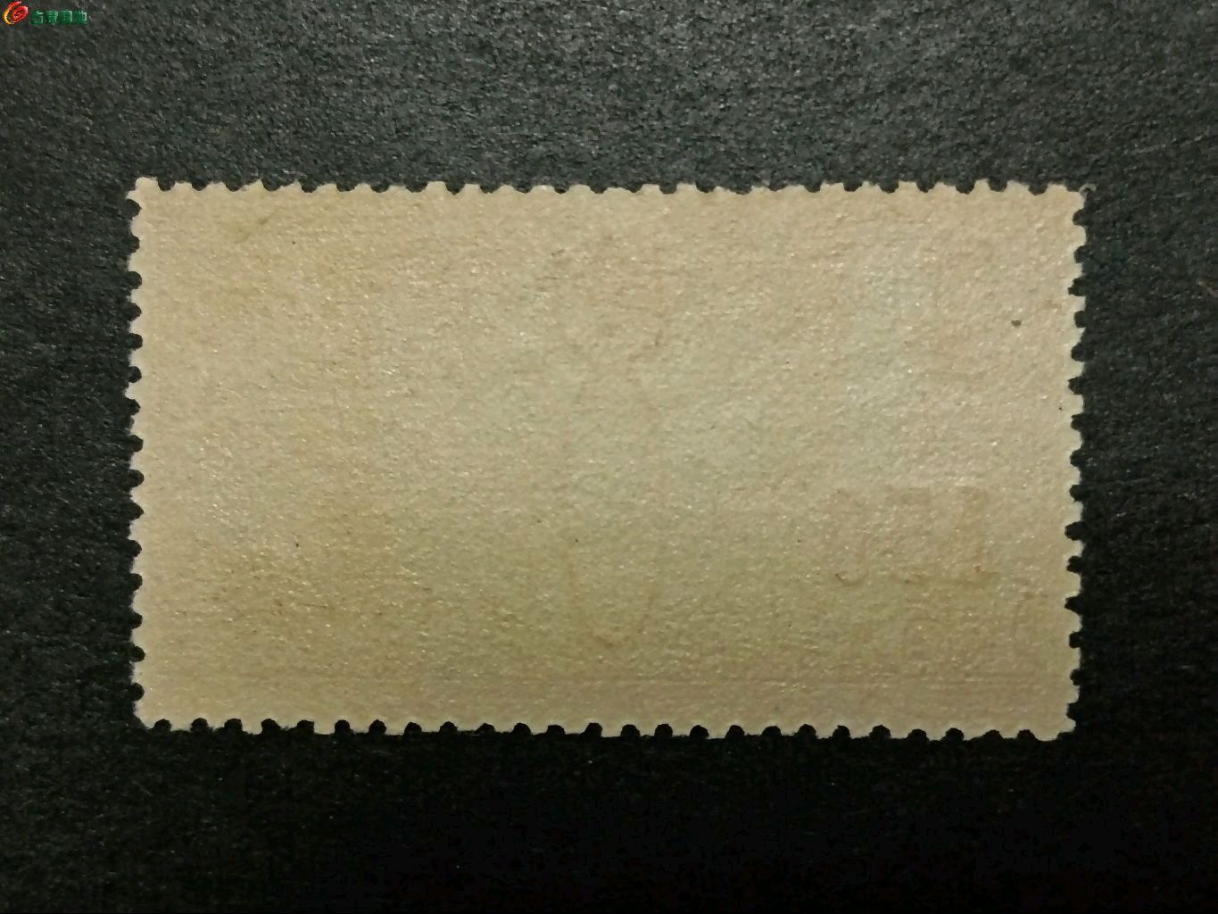 1778496430905.xfile.jpg