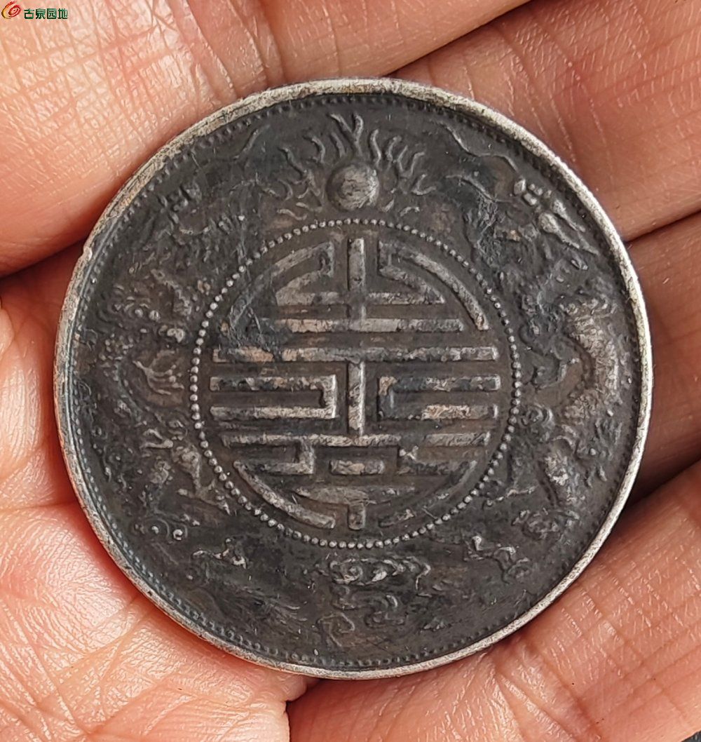 19428.jpg