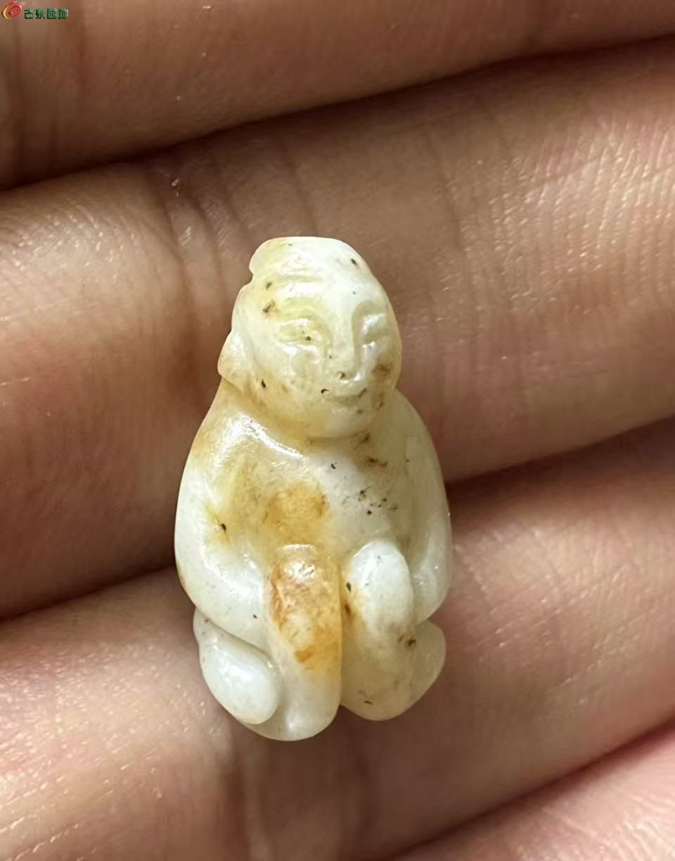微信图片_20260514163916.jpg