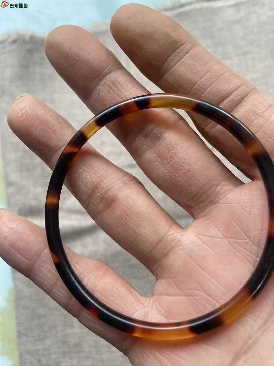 微信图片_20260518070439_2884_3.jpg