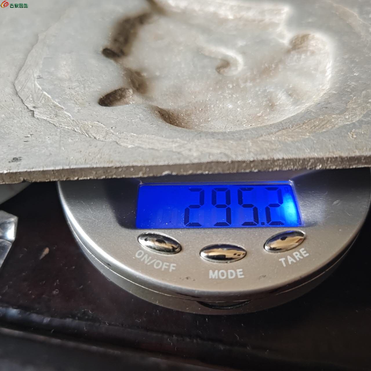 25880.jpg