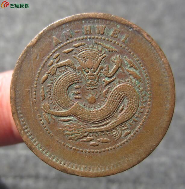 安徽大花 20 (1).jpg