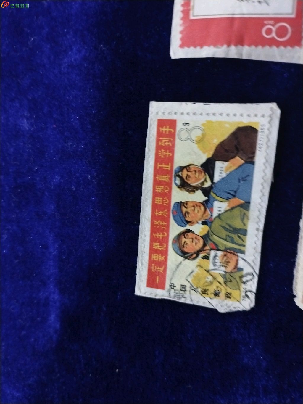 1779752492063.xfile.jpg