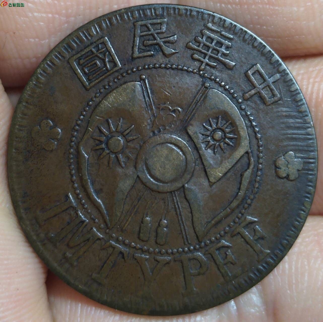 15897.jpg