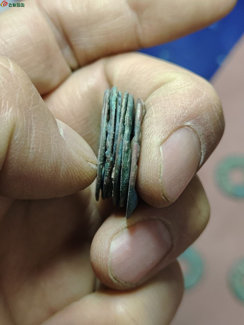 83860.jpg