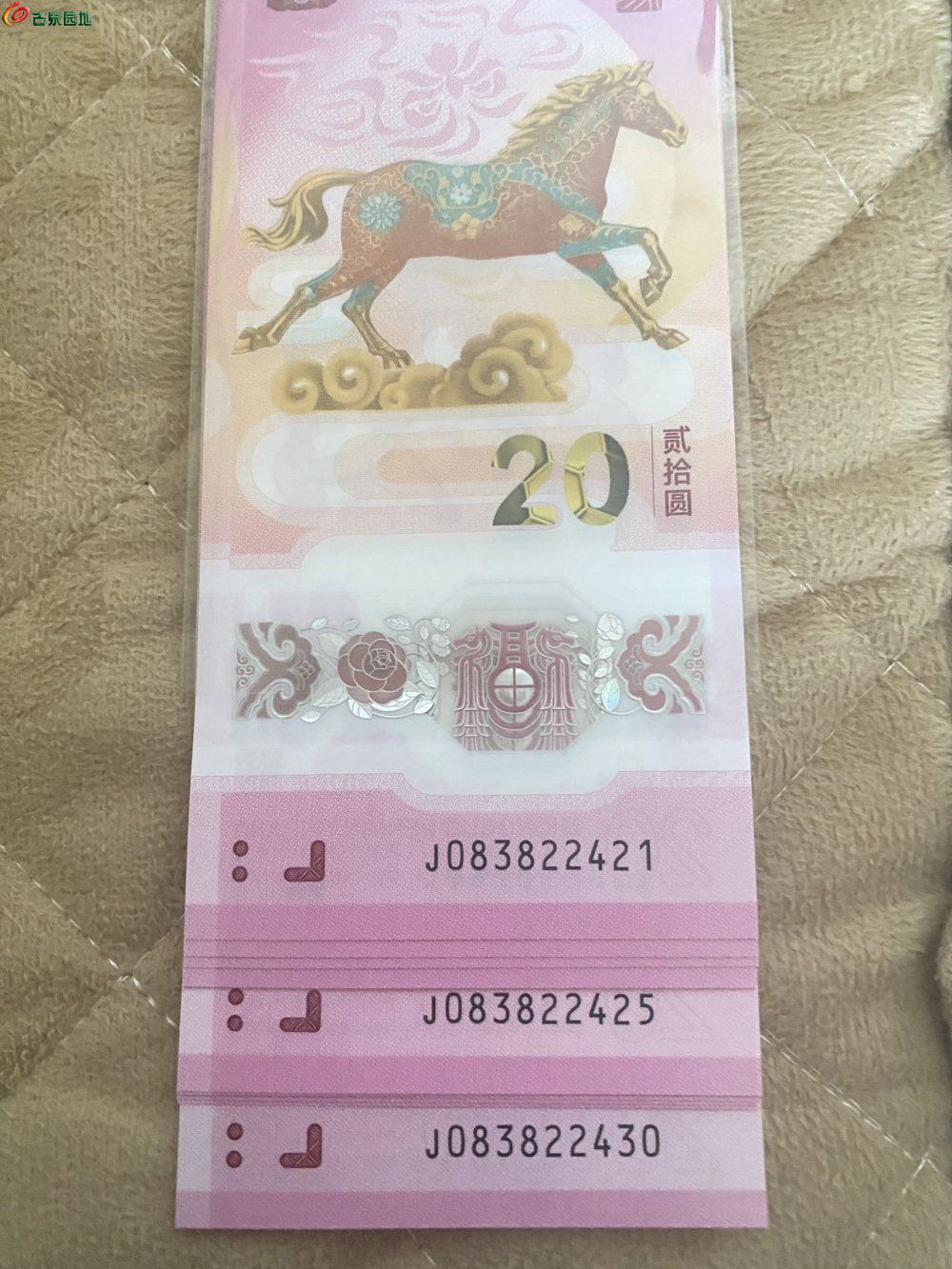 47747.jpg