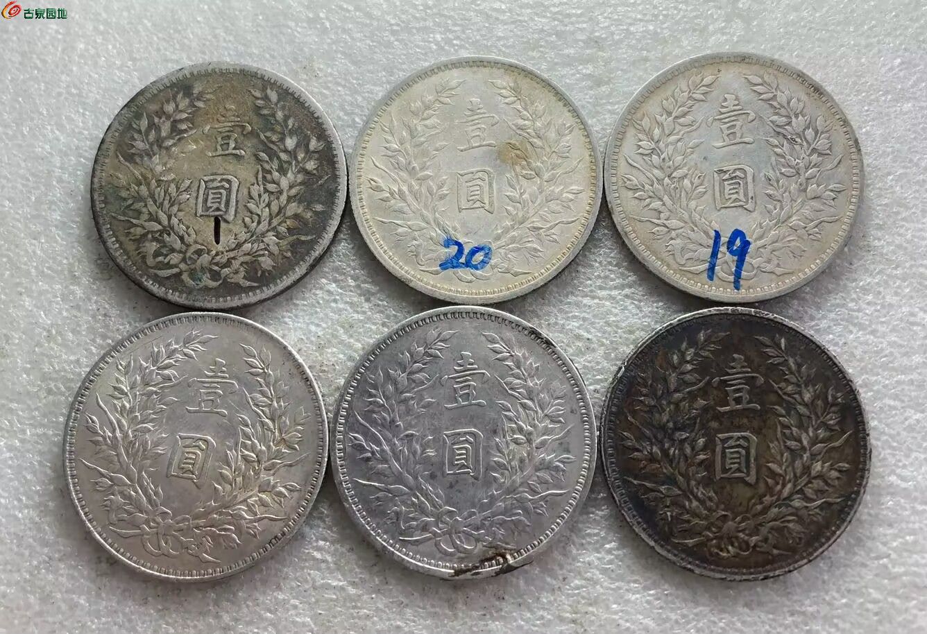 84.jpg