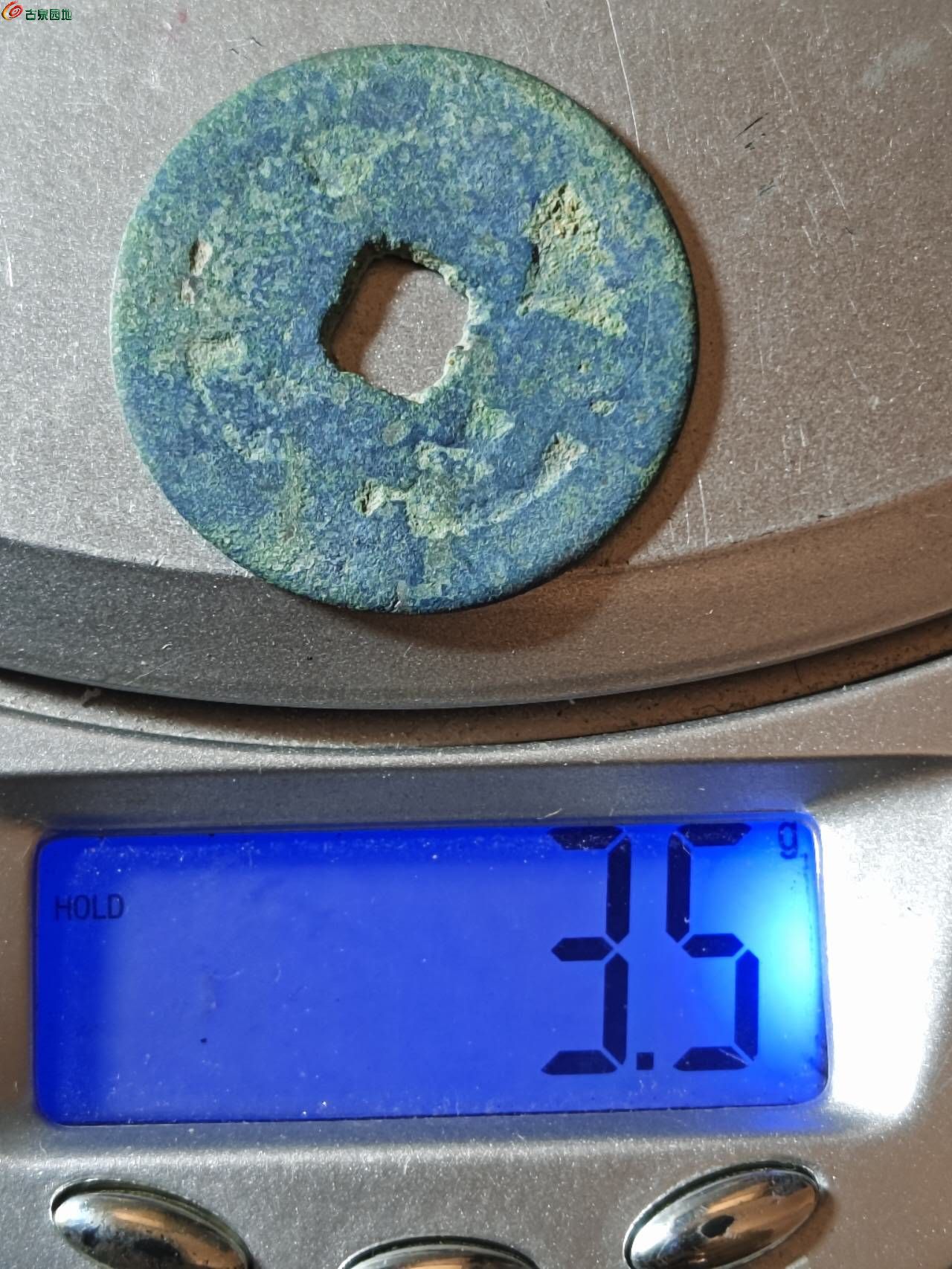 33559.jpg