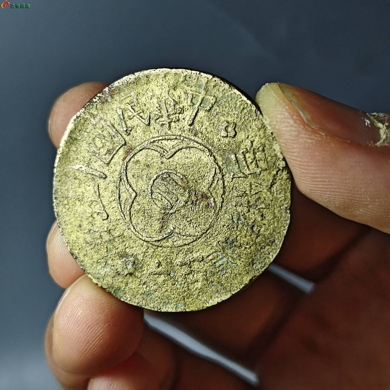 18433.jpg