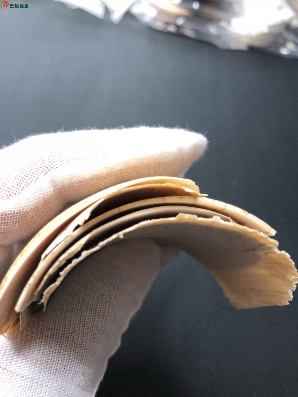 猛犸牙原皮料3.jpg