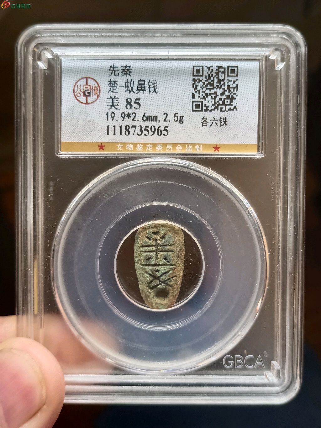 1776566129560.xfile.jpg