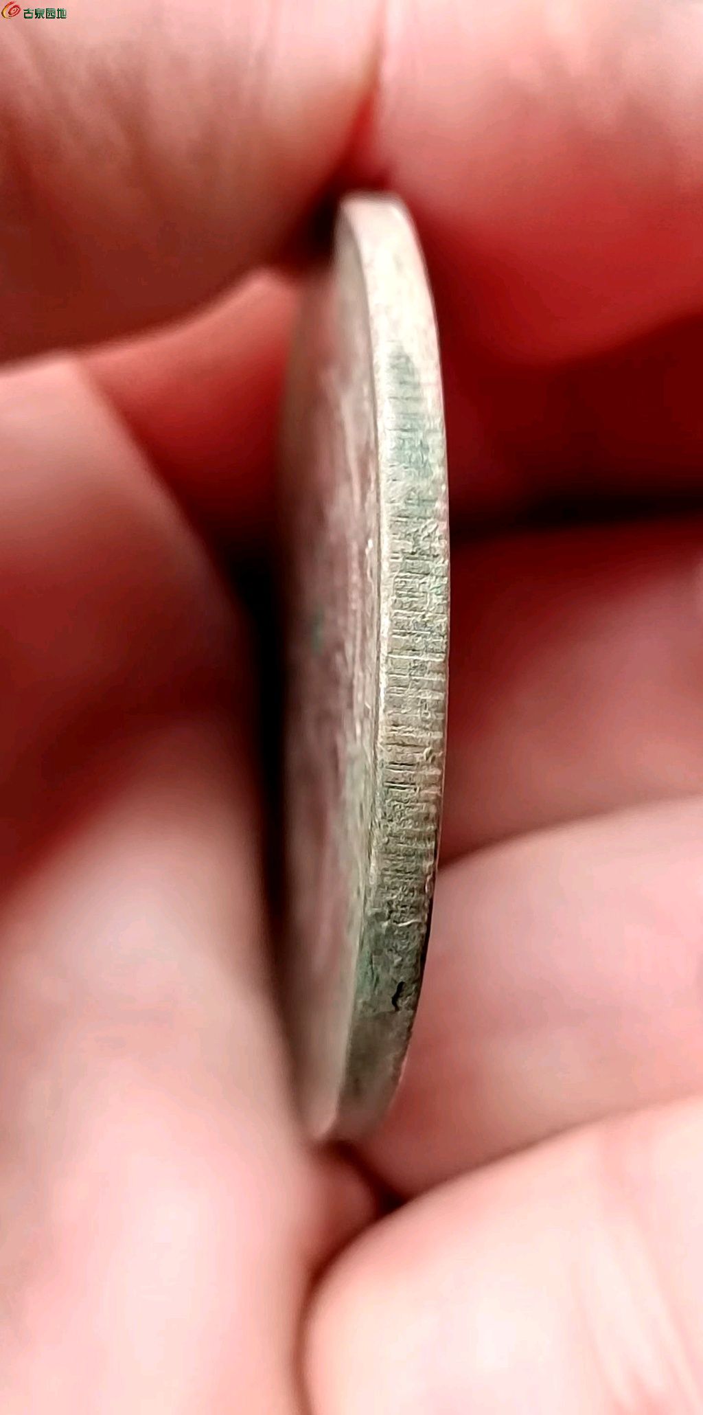 1776600706659.xfile.jpg