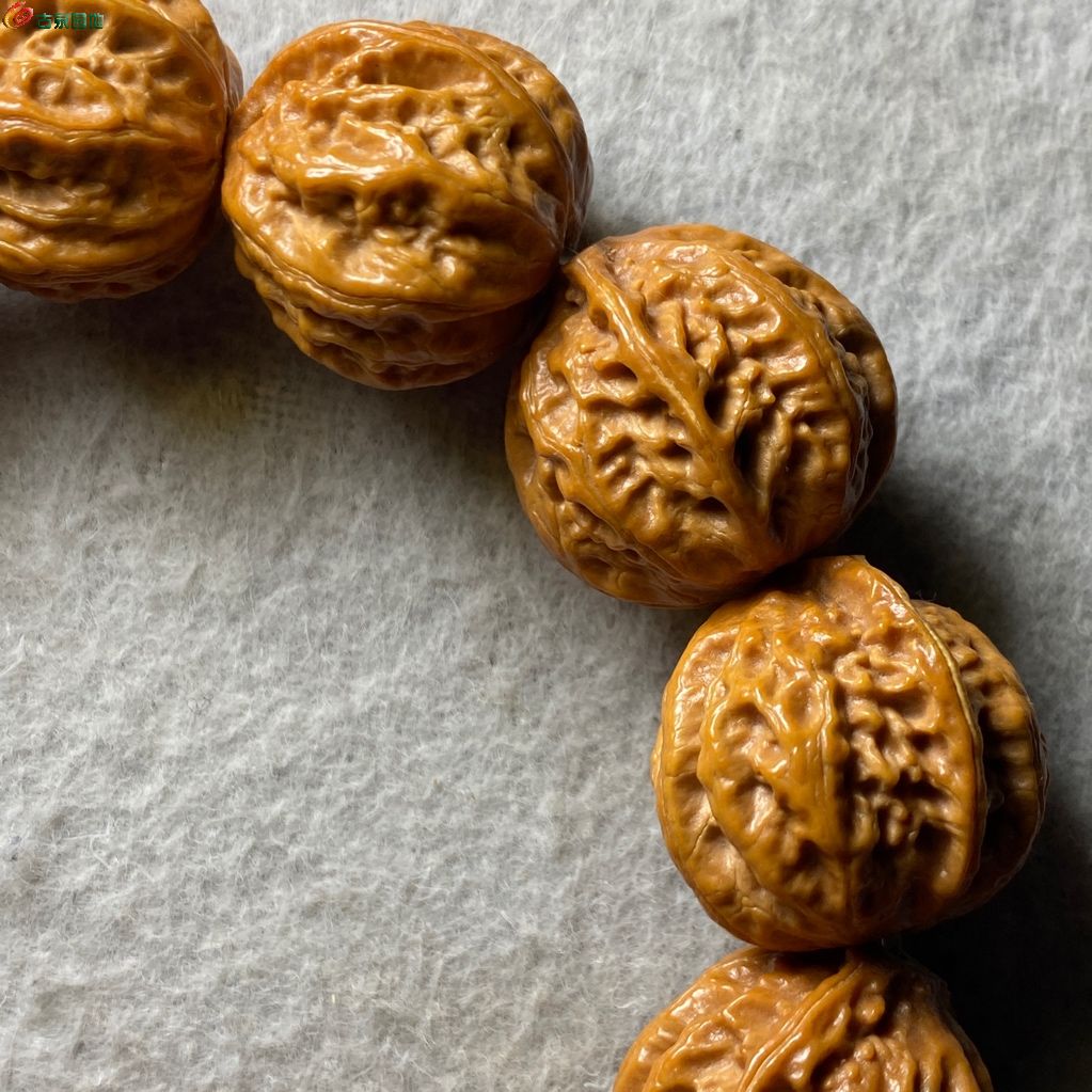 1776943495584.xfile.jpg