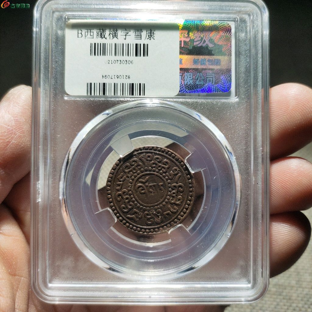 1777468353886.xfile.jpg