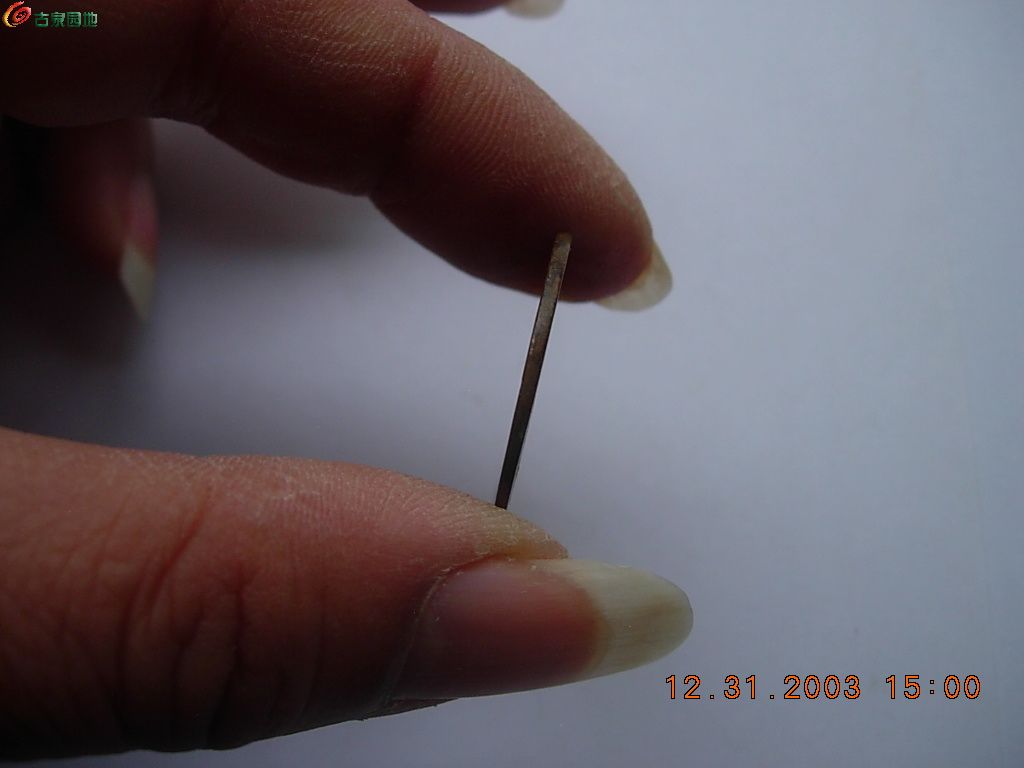 DSCN1641.JPG