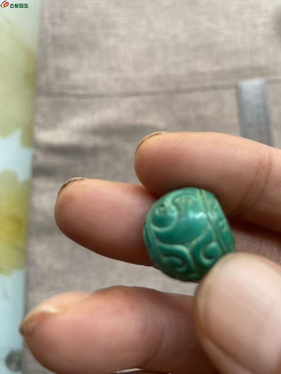 微信图片_20260505164250_2211_3.jpg