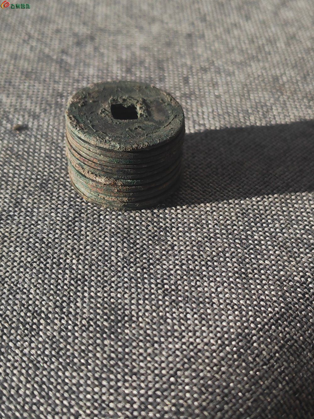 IMG_20260507_063503.jpg