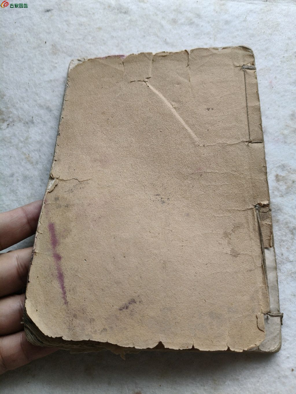 1778156533678.xfile.jpg