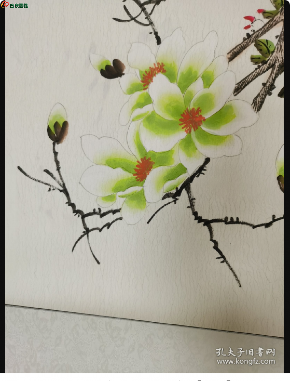 局部截取_20250226_225941.png