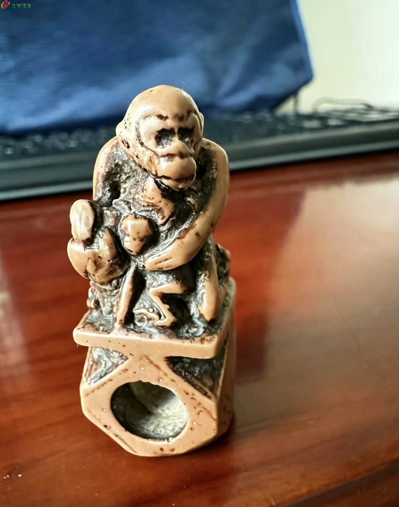 微信图片_20260511162011.jpg