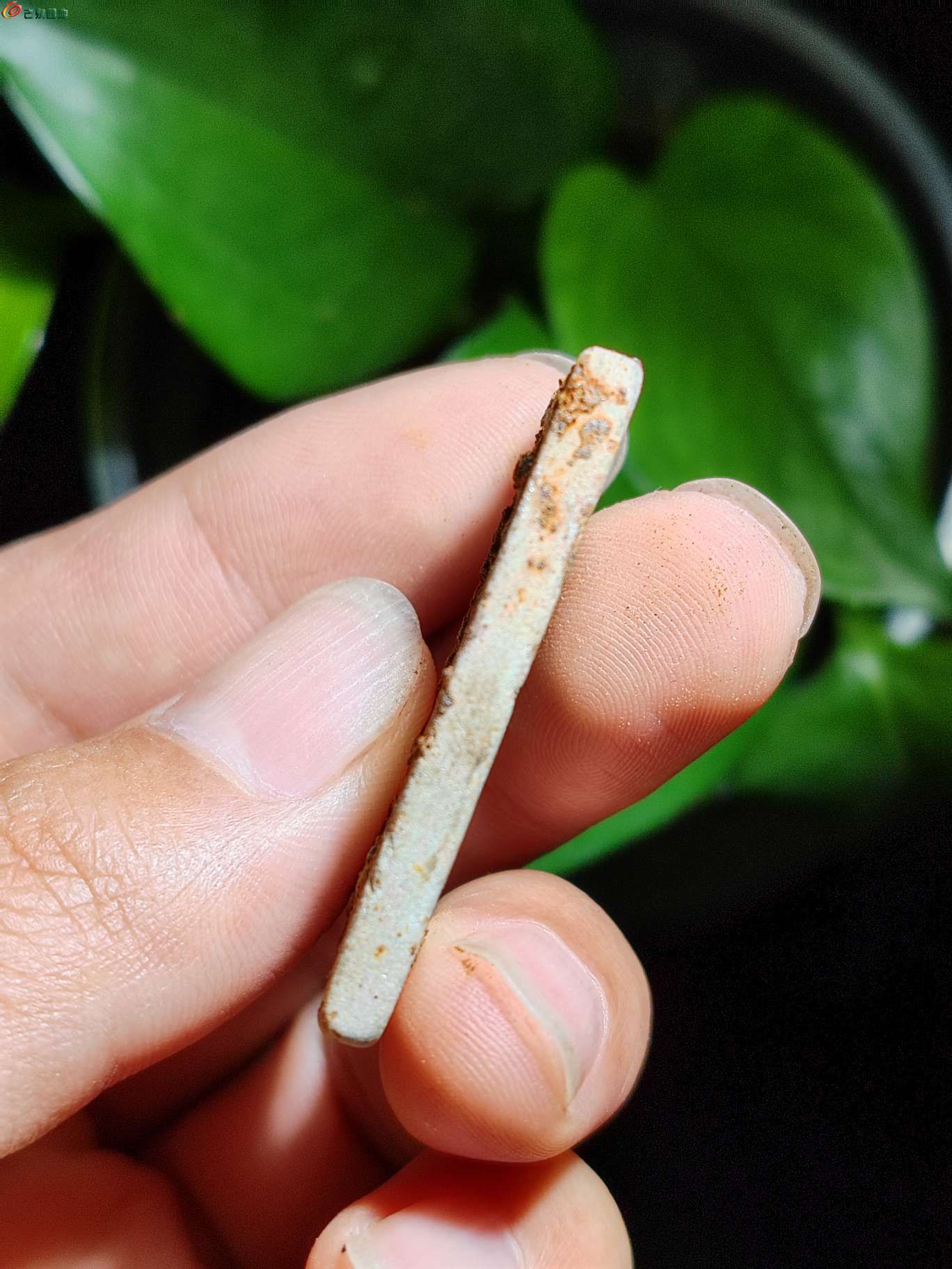 挺不错的4.jpg